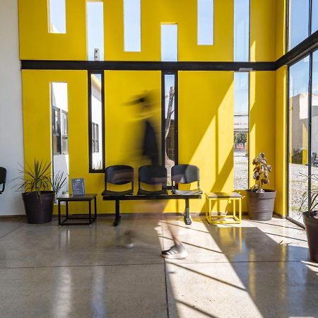 Check Inn Hostal Aeropuerto Gdl Las Pintas المظهر الخارجي الصورة