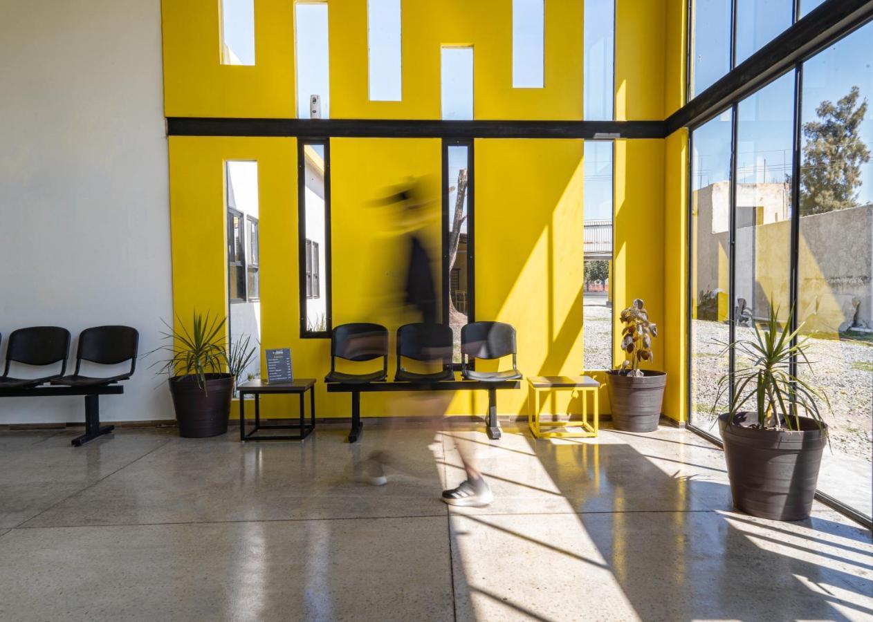 Check Inn Hostal Aeropuerto Gdl Las Pintas المظهر الخارجي الصورة